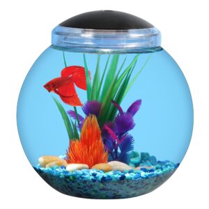 Aqua Culture 1-Gallon Globe Fish Bowl with LED Light